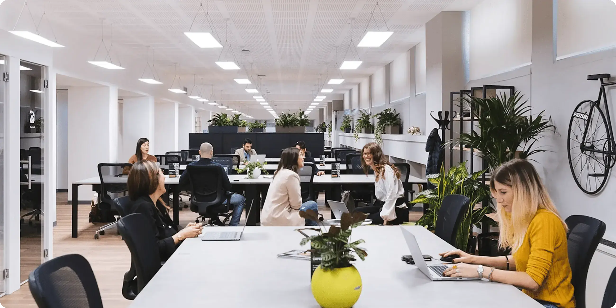 Company featured pictures