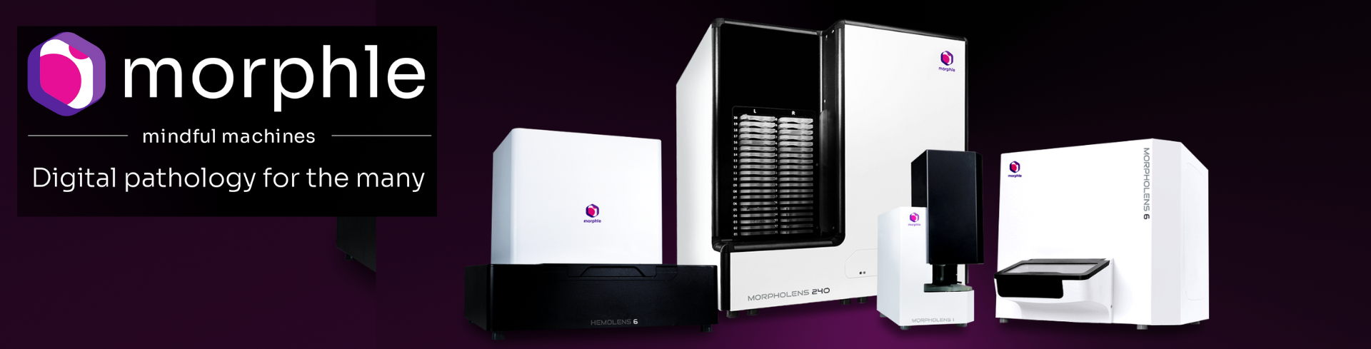 Morphle cover picture