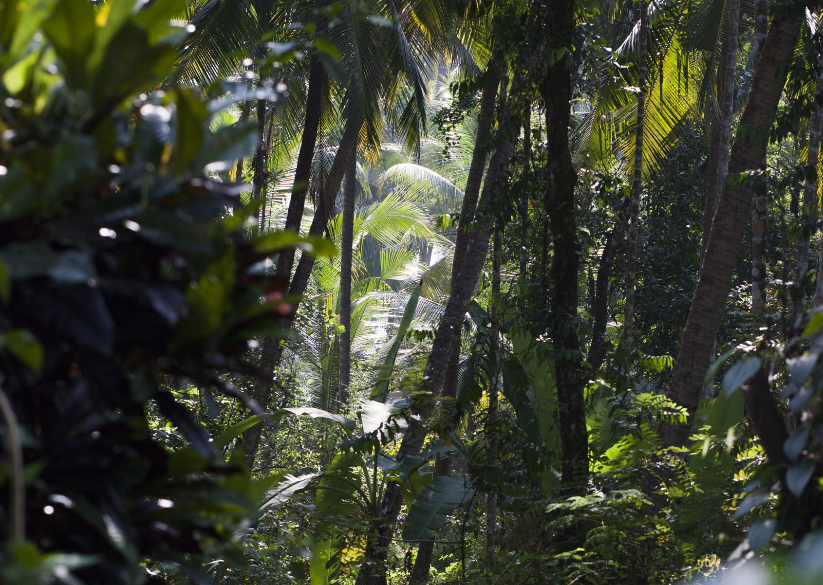 KEMURI Technology cover picture