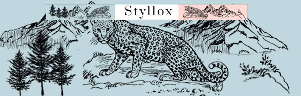 Styllox cover picture
