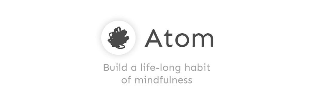 Atom EI cover picture