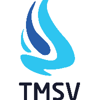 TMSV Edutech Pvt Ltd logo