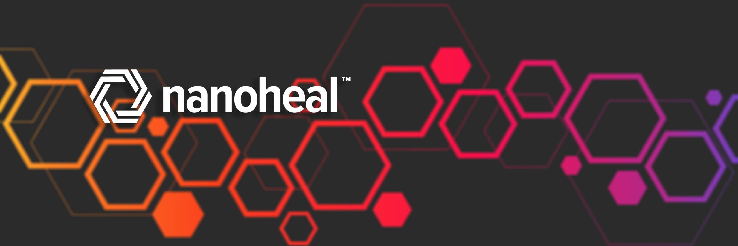 Nanoheal cover picture