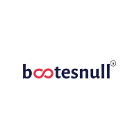 BootesNull logo