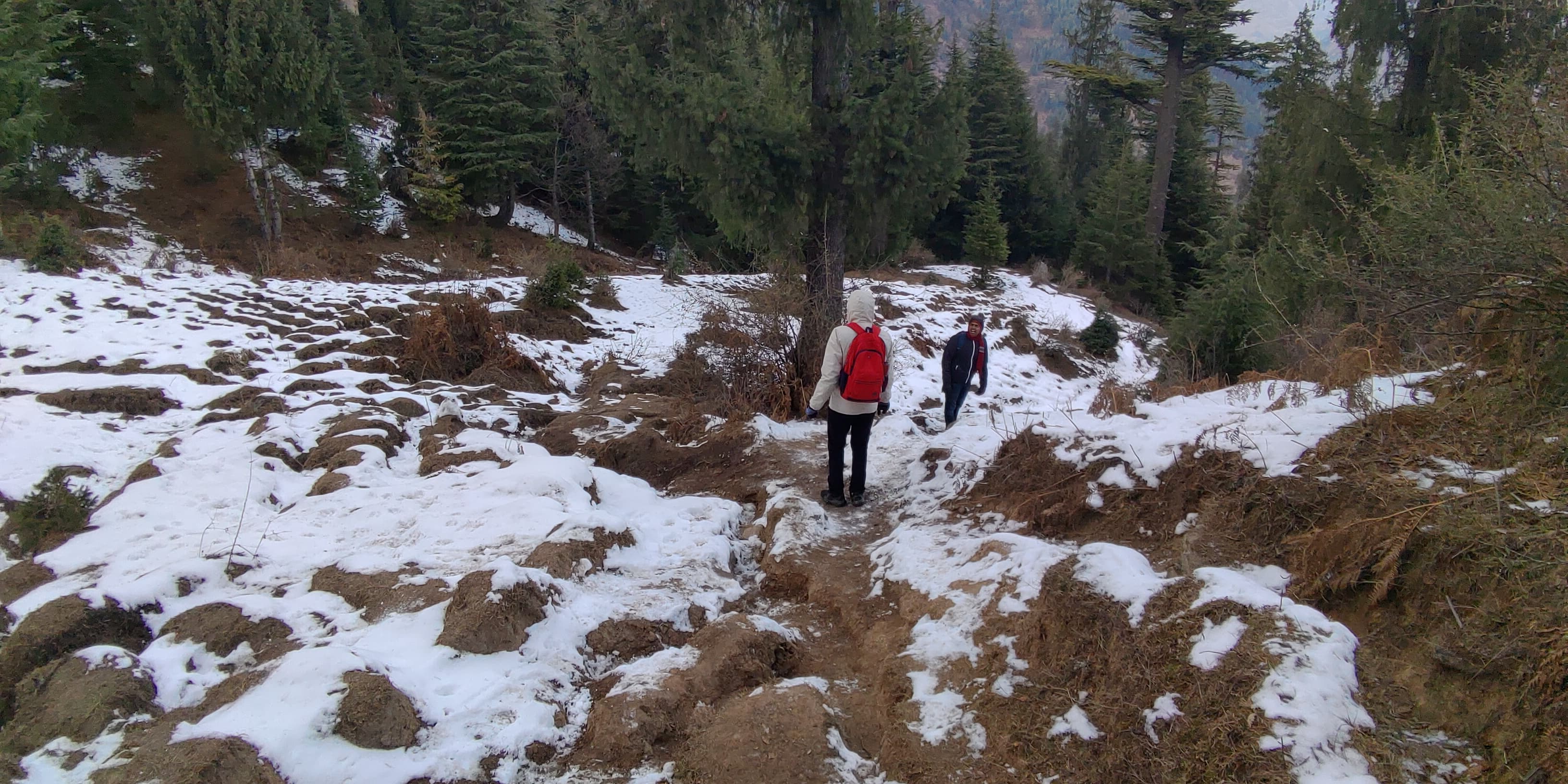 Company featured pictures