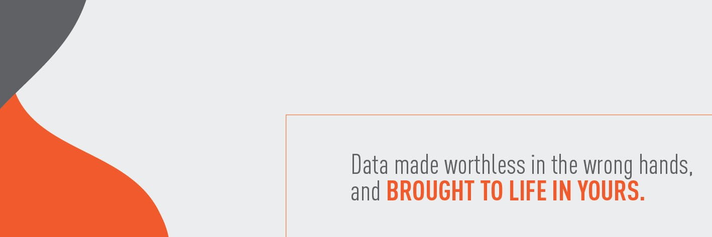 Protegrity cover picture