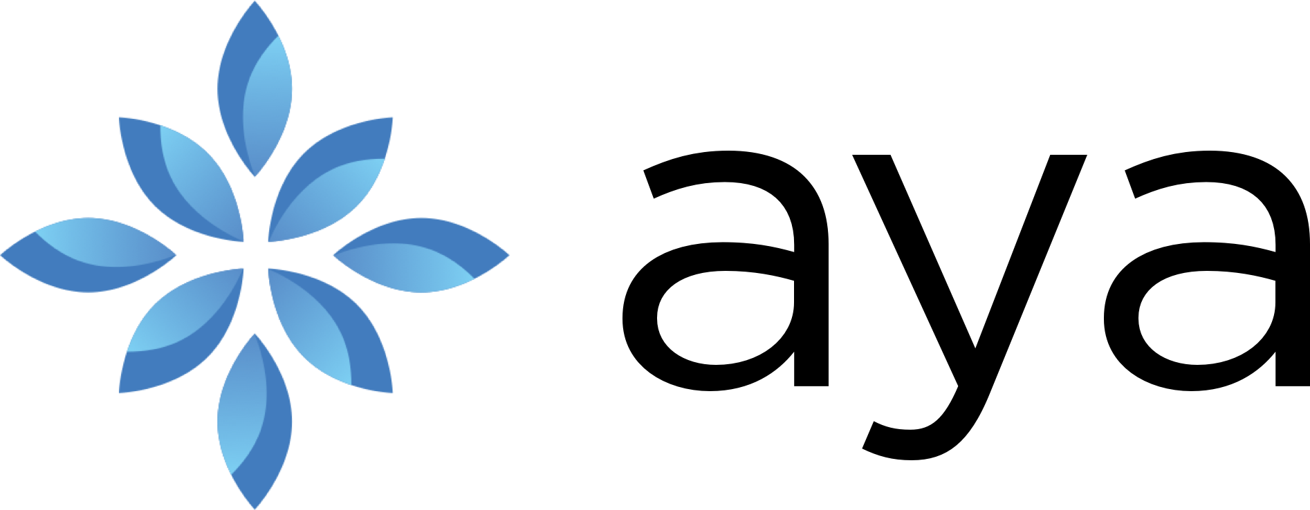 Aya Payments cover picture