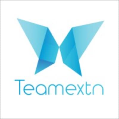 TeamExtn's logo