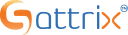 SATTRIX Information Security's logo