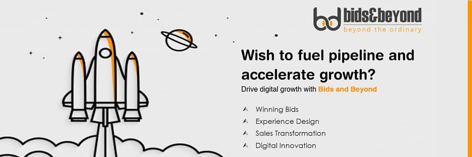 Bids and Beyond cover picture