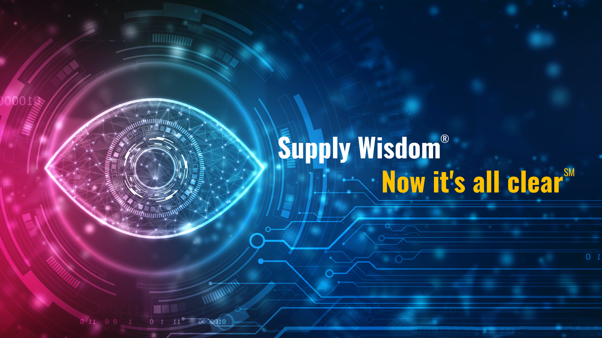 Supply Wisdom cover picture