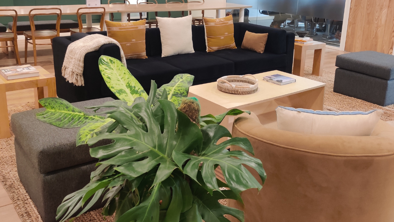 Company featured pictures