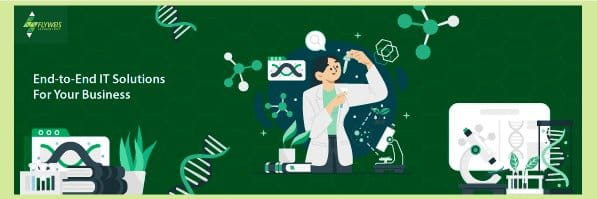 Flyweis Services cover picture