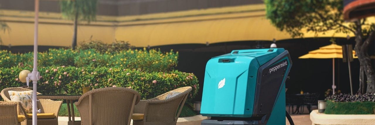 Peppermint Robots cover picture