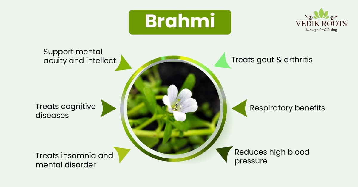 Company featured pictures