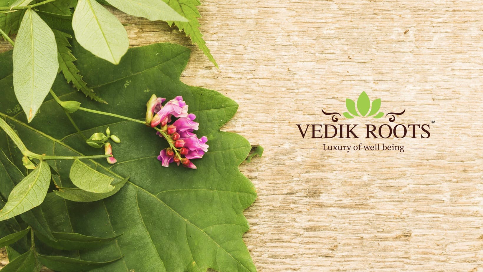 Vedikroots Ayurveda Pvt Ltd cover picture