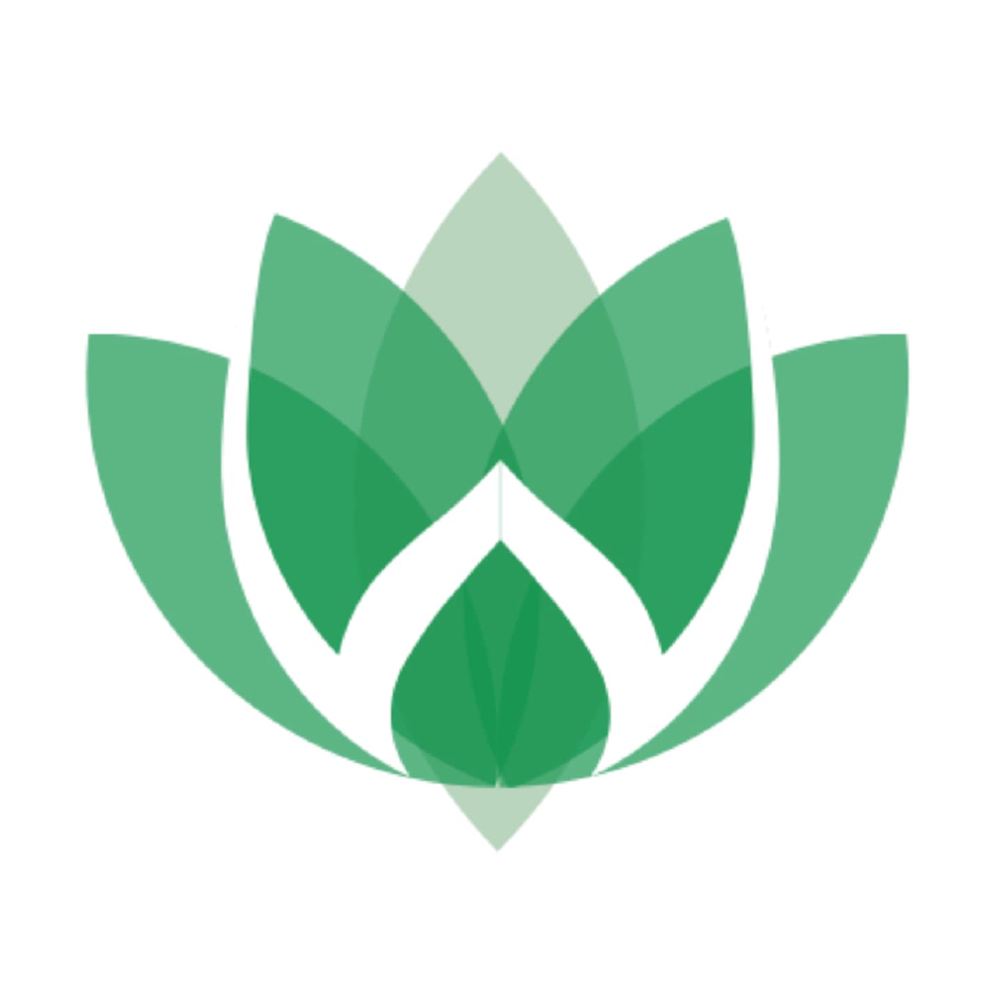 Pahoti Wellness's logo