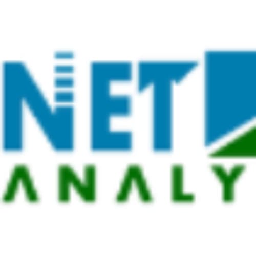 NetAnalytks's logo