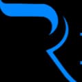 Reinforce Software Solution Private Limited logo