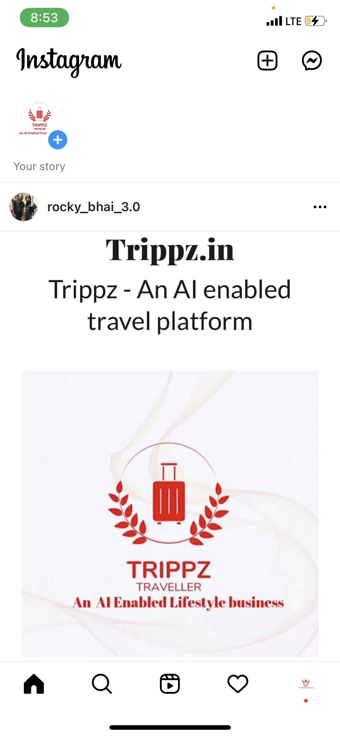 Trippz pte ltd cover picture