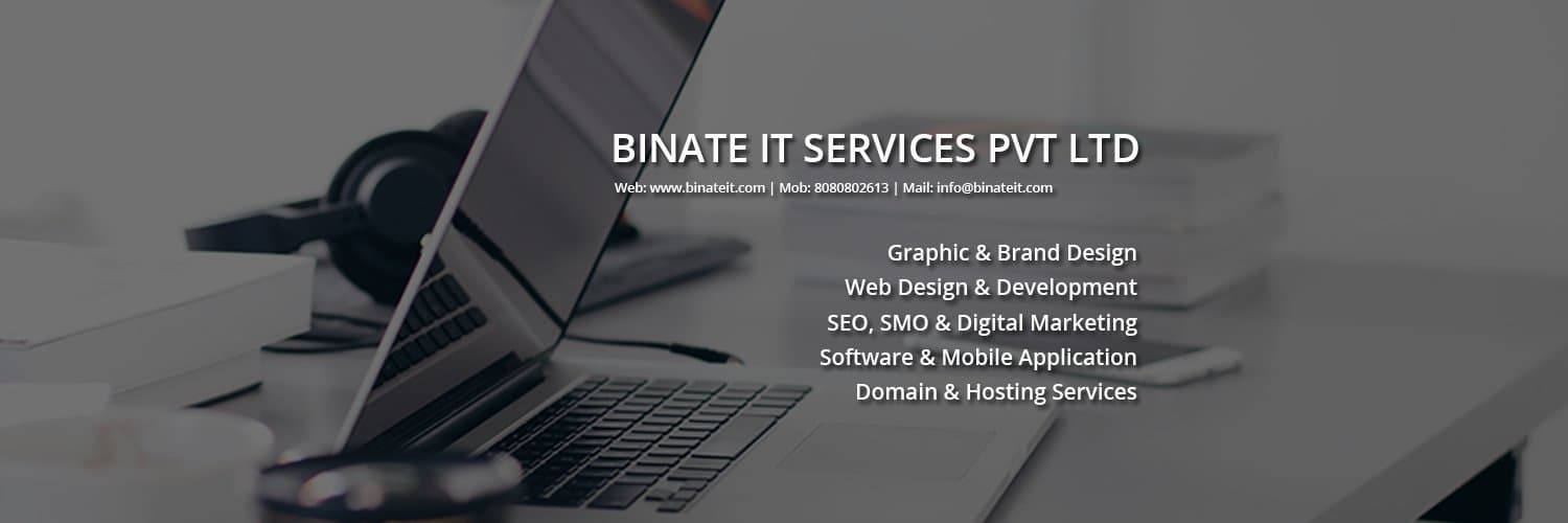 BINATE IT SERVICES PRIVATE LIMITED cover picture