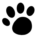 WildTrails logo