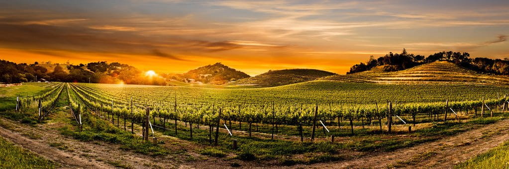 Monarch Tractors India cover picture