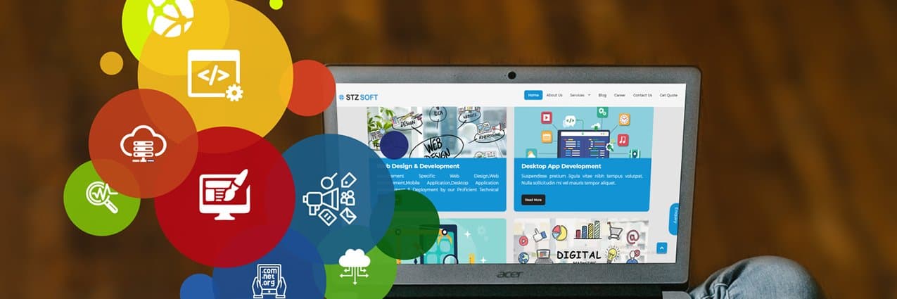 BDS STZ cover picture