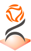 DesiredSoft Solution PVT LTD's logo
