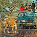 Jaipur to Ranthambore one day Tour's logo