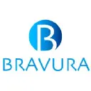 BRAVURA TECHNOLOGIES LLC logo