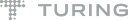 Turing logo