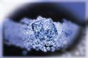 Blue Star Diamonds Pvt Ltd's logo