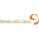Seneca Global IT Services Pvt Ltd