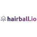 Hairball logo