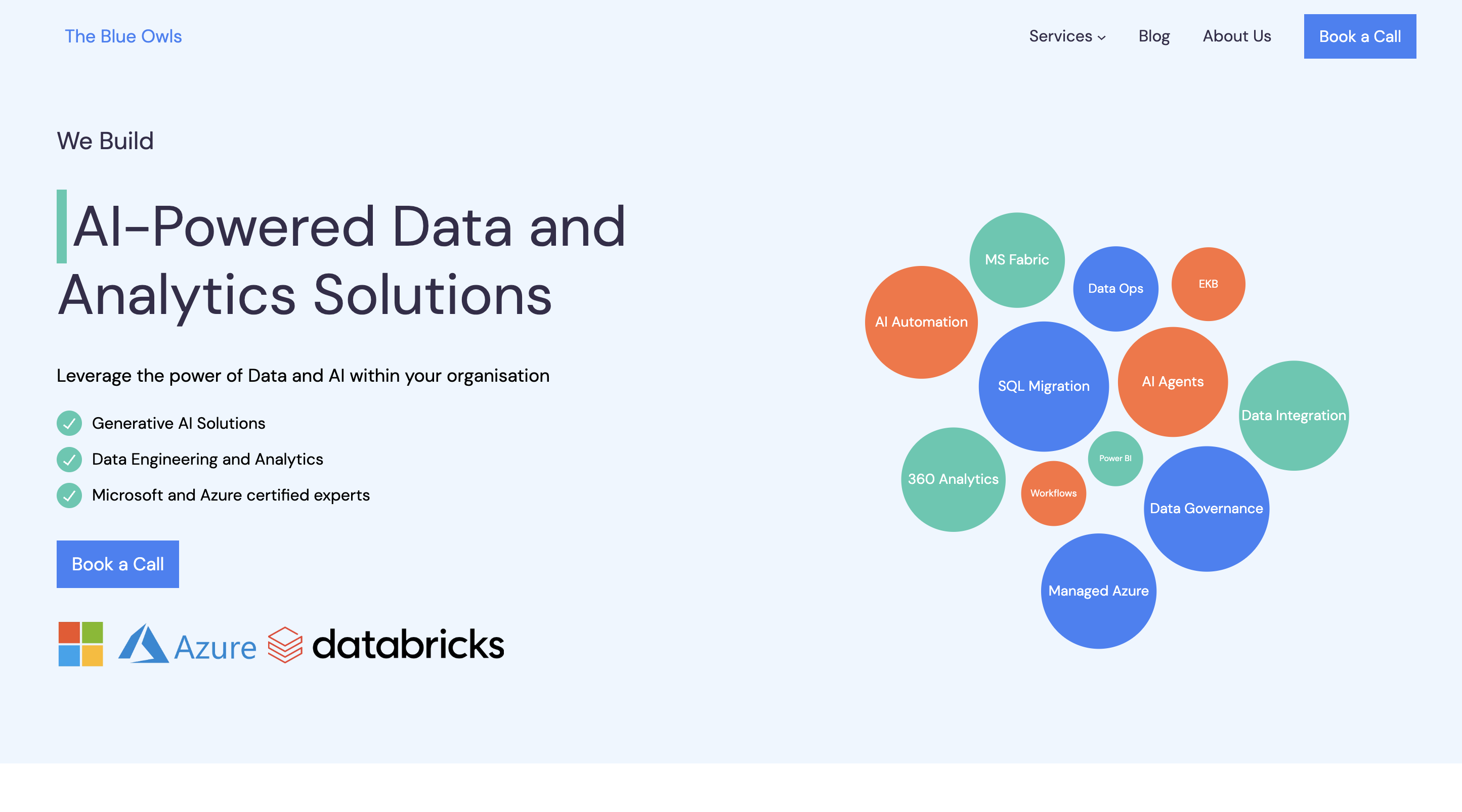 The Blue Owls Solutions cover picture