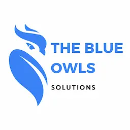 The Blue Owls Solutions logo