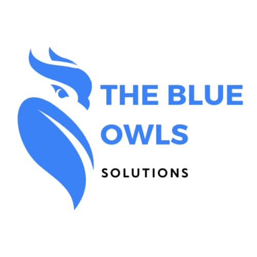 The Blue Owls Solutions's logo