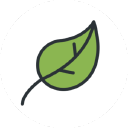 Brew Cafe logo