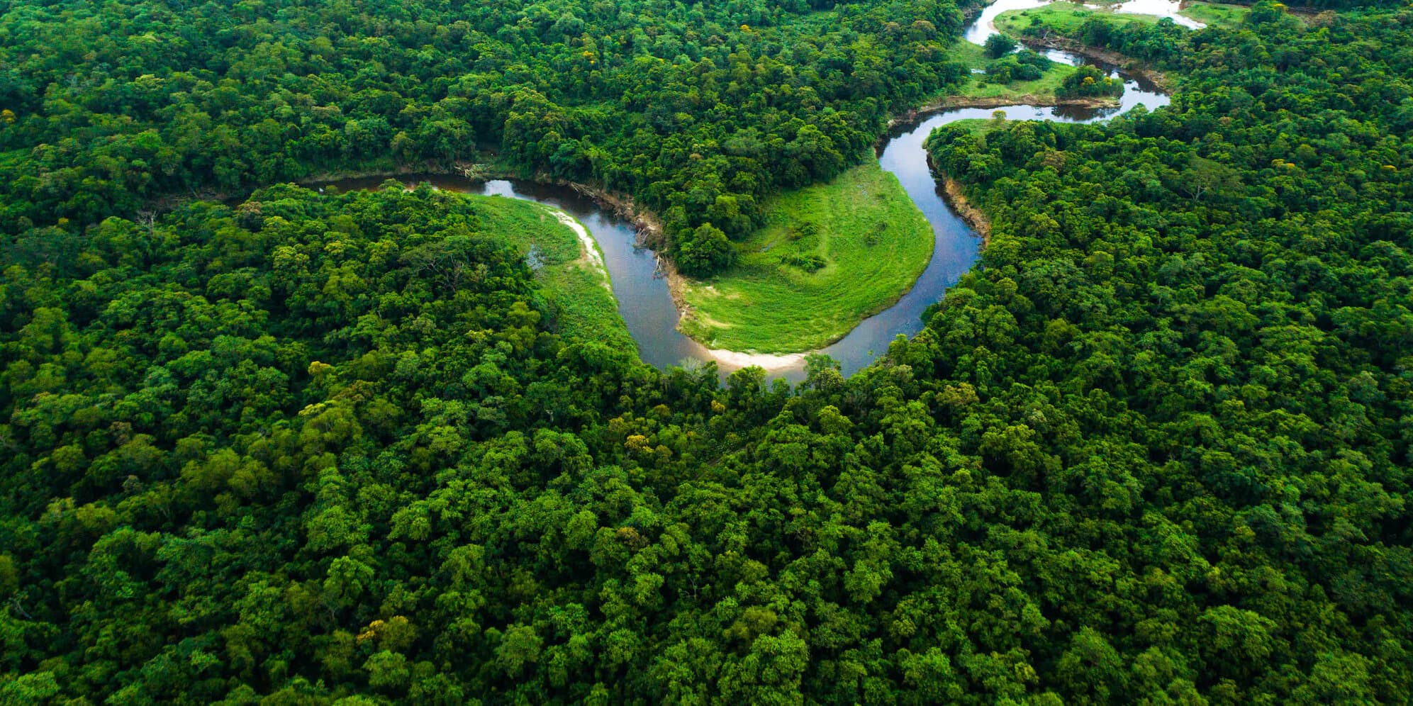 Plant-for-the-Planet Foundation cover picture