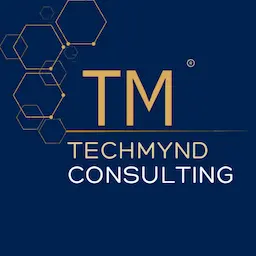 TechMynd Consulting logo
