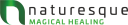 Naturesque Magical Healing logo
