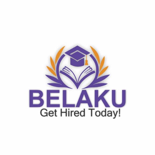 Belaku Tech Solutions's logo