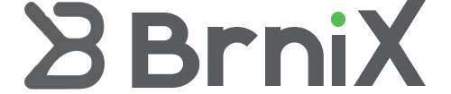 BrniX Media cover picture