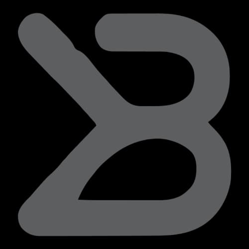 BrniX Media's logo