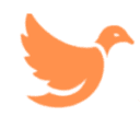 Seekify Global logo