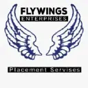 flywings enterprises