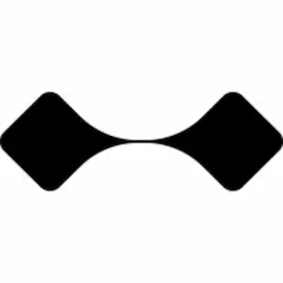Steinn Labs logo
