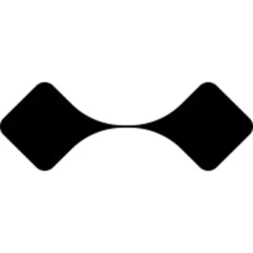 Steinn Labs's logo