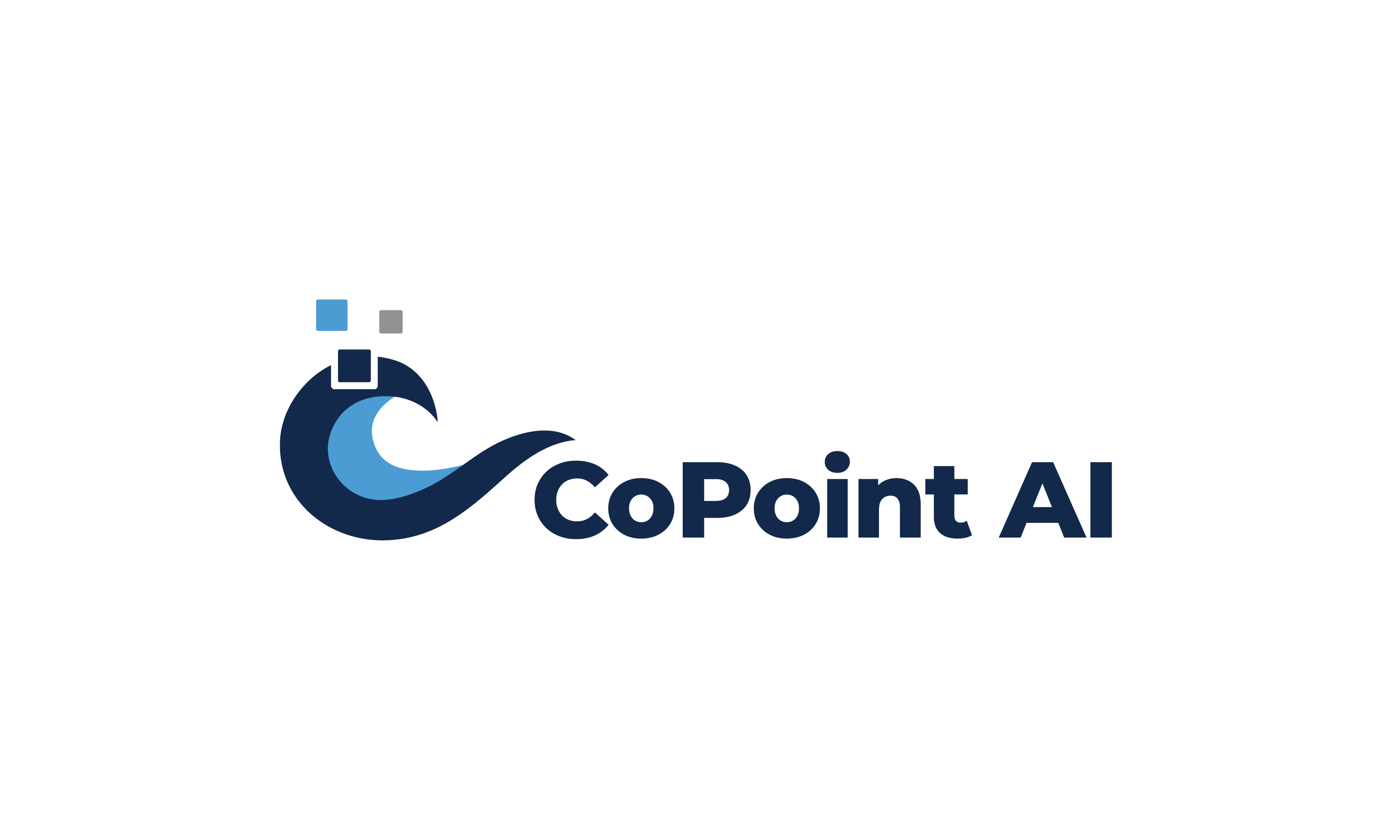 CoPoint Data's logo